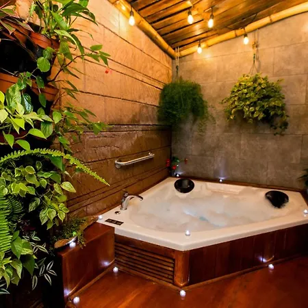 Casa Suculenta ,Monteverde Con Jacuzzi Privado Y Lavanderia Exterior photo