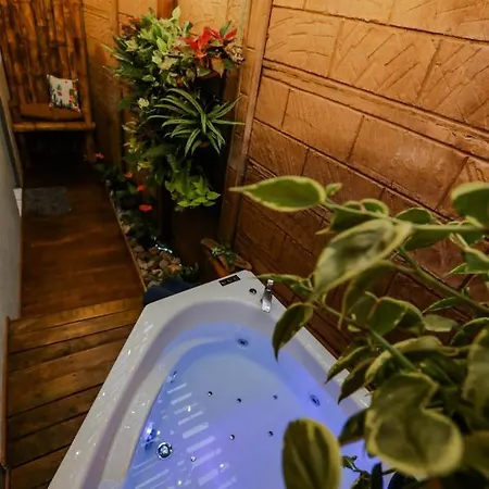 Casa Suculenta ,Monteverde Con Jacuzzi Privado Y Lavanderia Exterior photo