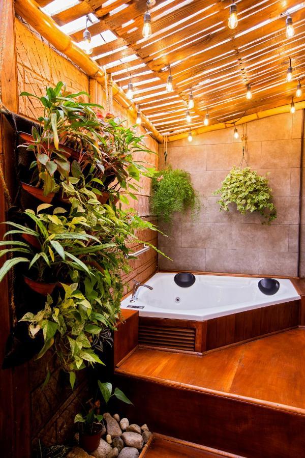 Casa Suculenta ,monteverde Con Jacuzzi Privado Y Lavanderia * Monteverde