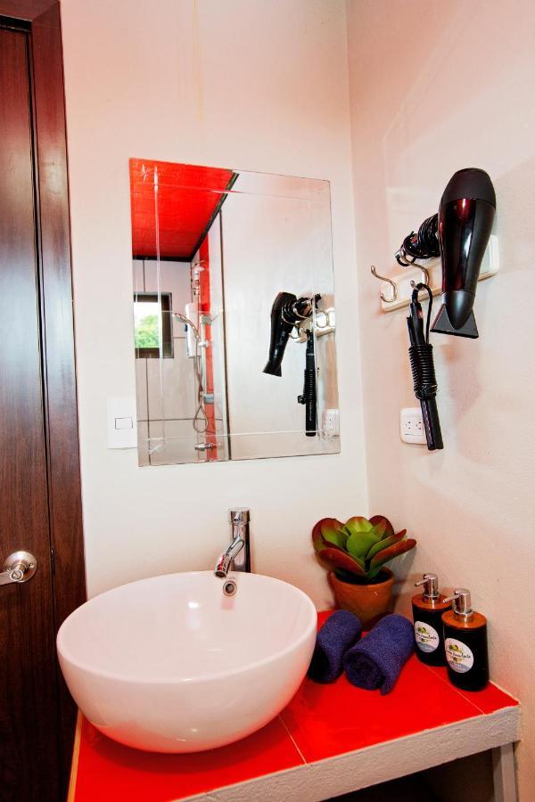 Casa Suculenta ,monteverde Con Jacuzzi Privado Y Lavanderia Monteverde
